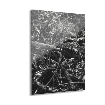 Black & White Deep Timber Path Acrylic Print French Cleat Hanging - 11″ x 14″ (Vertical) 0.25'' - Home Decor