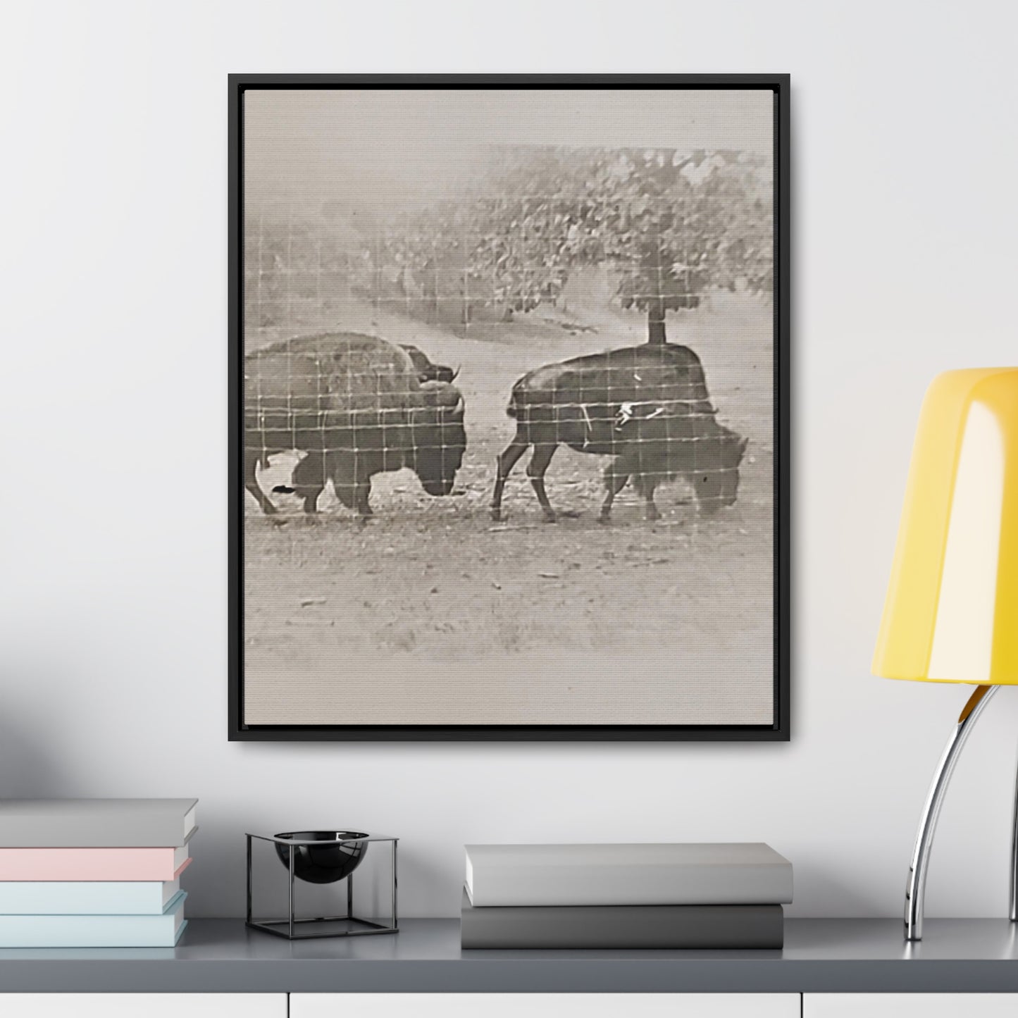 Buffalo at Redwood Falls Gallery Canvas Wraps, Vertical Frame