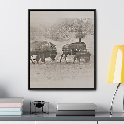 Buffalo at Redwood Falls Gallery Canvas Wraps Vertical Frame 20″ x 24″ Premium Gallery Wraps (1.25″) Black