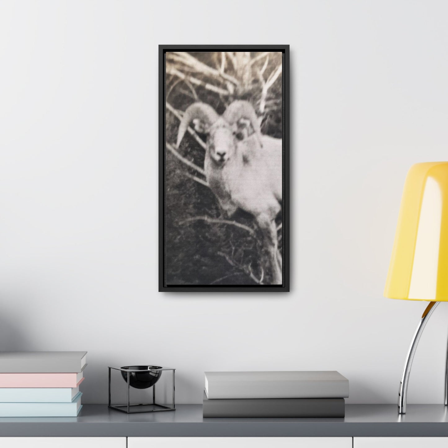 Yellowstone Big Horn Sheep Gallery Canvas Wraps Vertical Frame 10″ x 20″ Premium Gallery Wraps (1.25″) Black