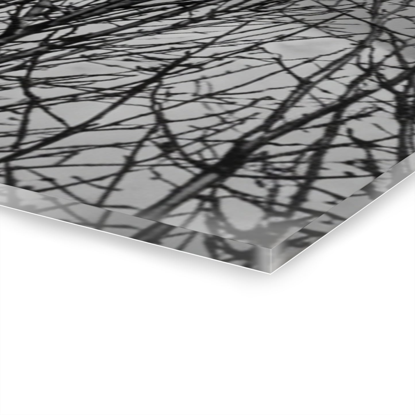 Black & White Buzzards in Winter Trees French Cleat Hanging - - Home Decor