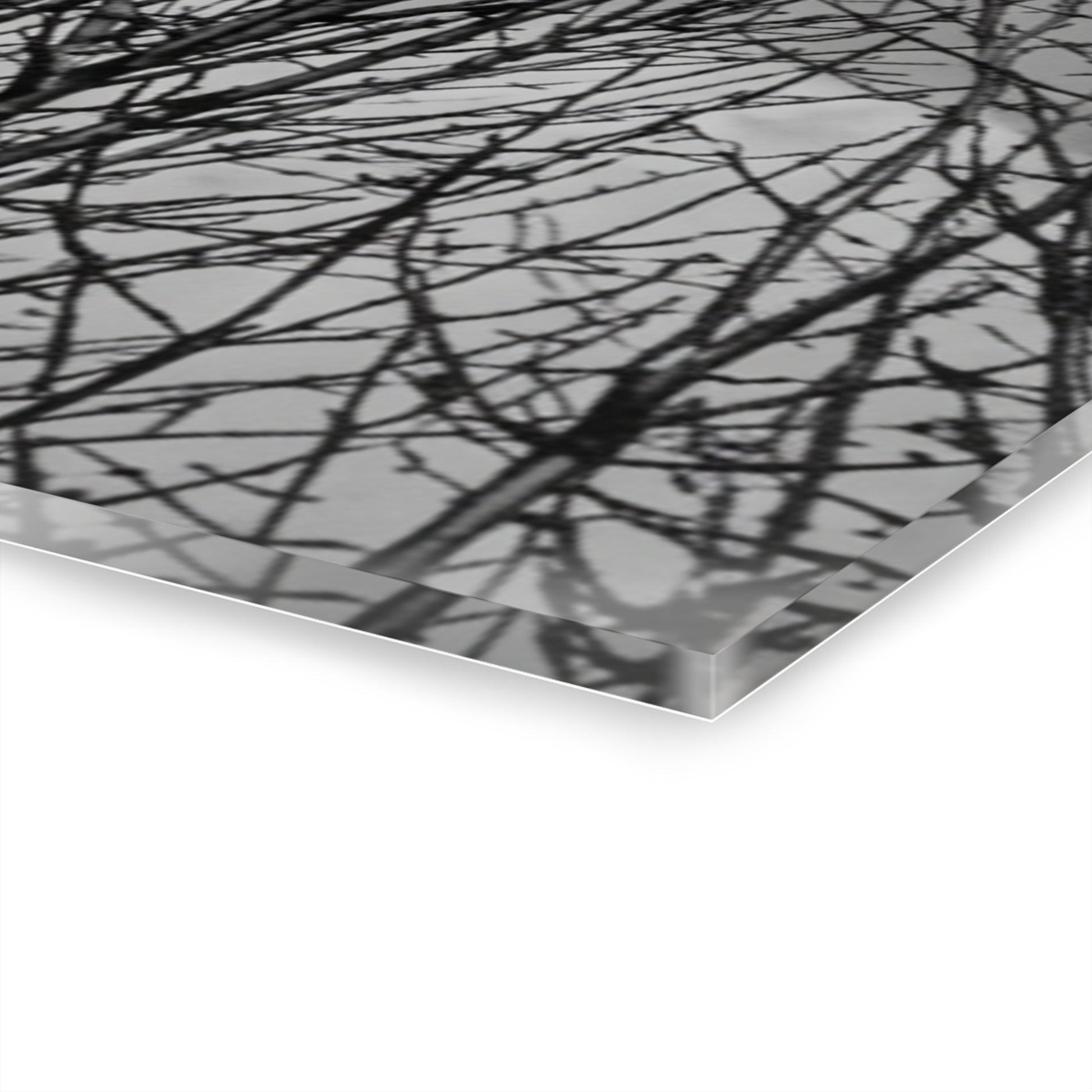Black & White Buzzards in Winter Trees French Cleat Hanging - - Home Decor