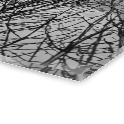 Black & White Buzzards in Winter Trees French Cleat Hanging - - Home Decor