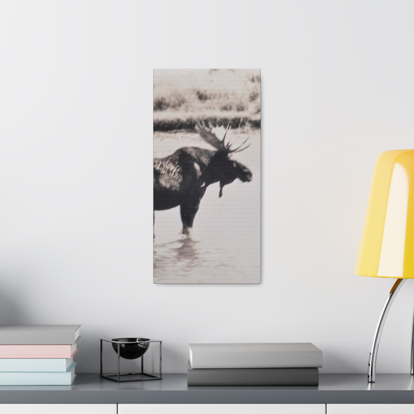 Yellowstone Bull Moose Canvas Gallery Wraps