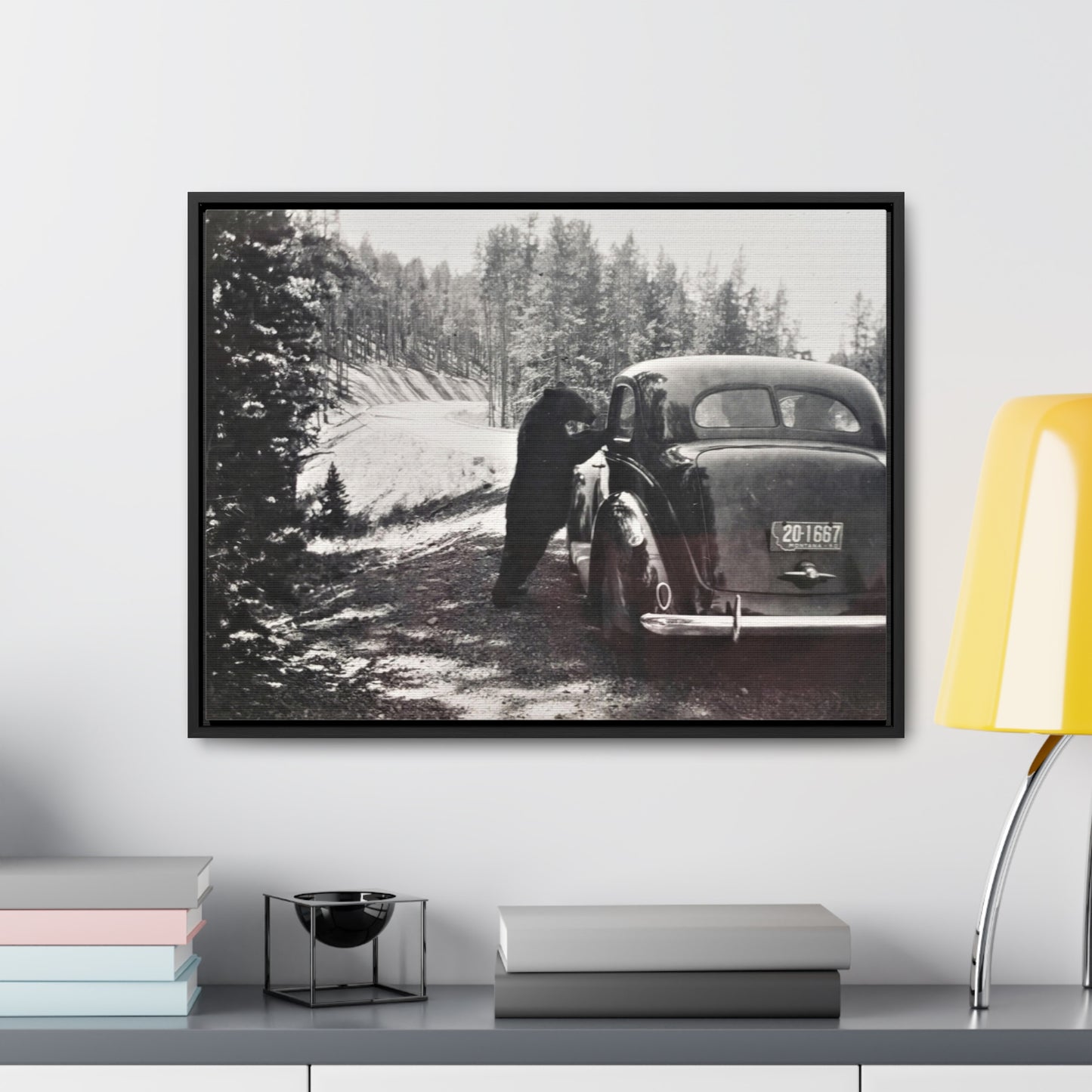 Yellowstone Bear Car Gallery Canvas Wraps, Horizontal Frame