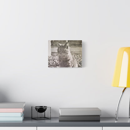 Caledonia Satin Canvas Stretched