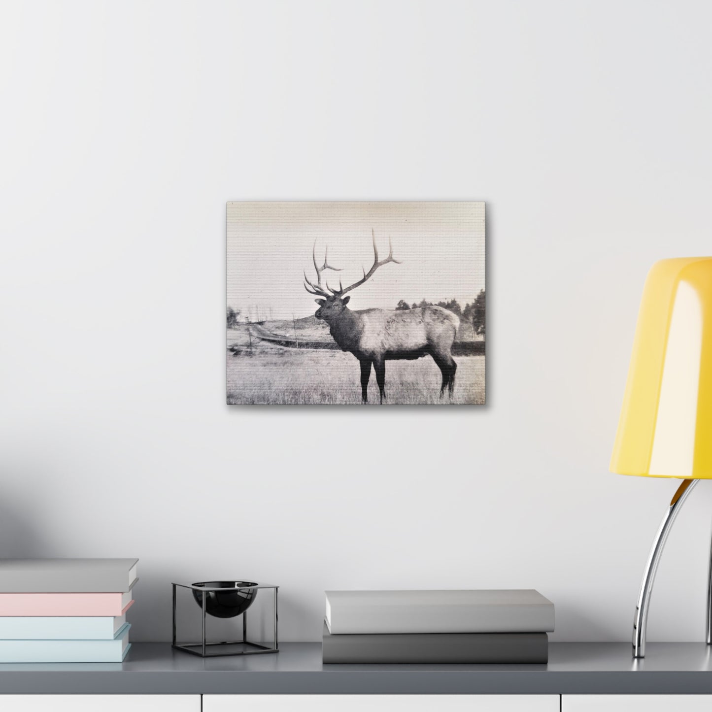 Yellowstone Bull Elk Canvas Gallery Wraps