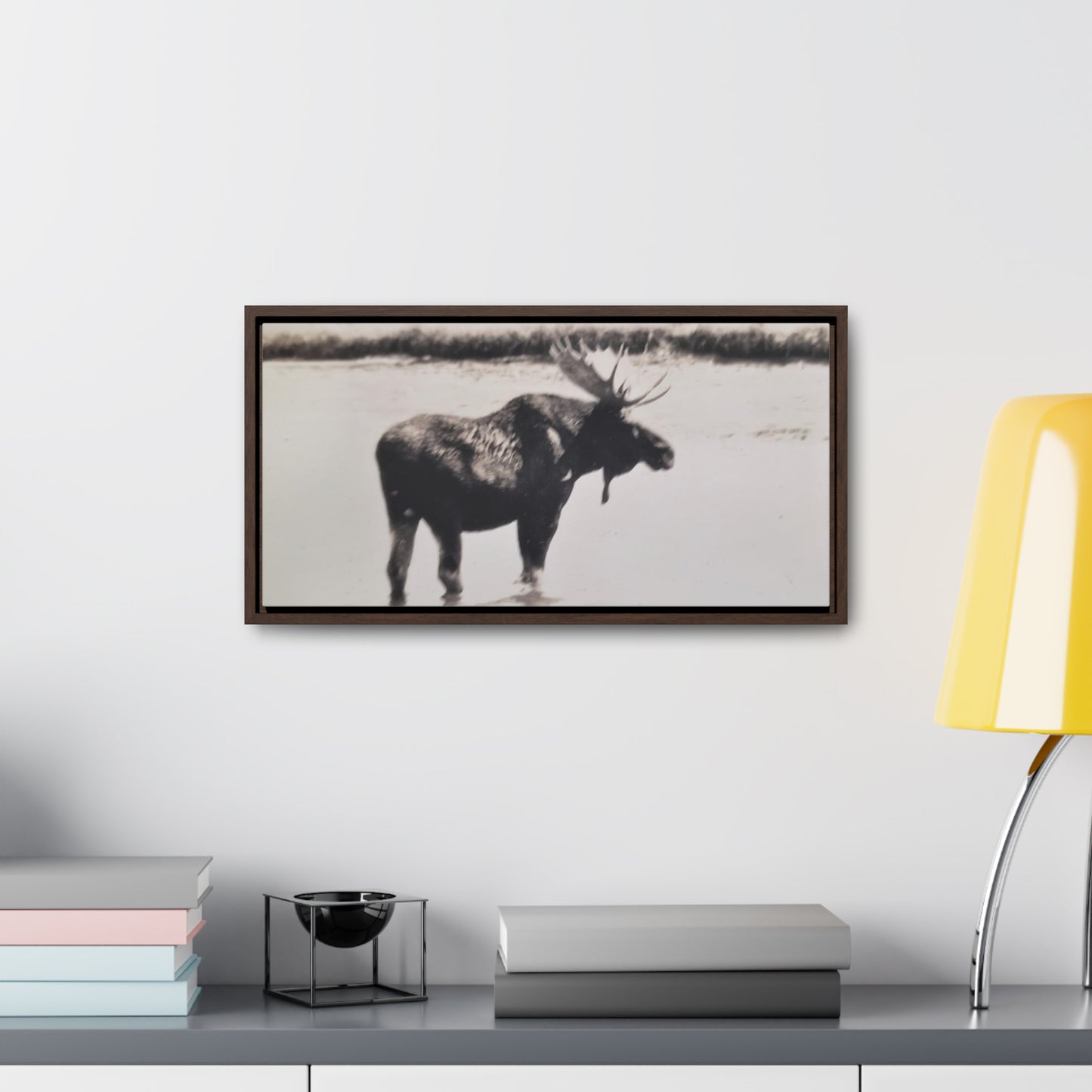 Yellowstone Bull Moose Gallery Canvas Wraps, Horizontal Frame