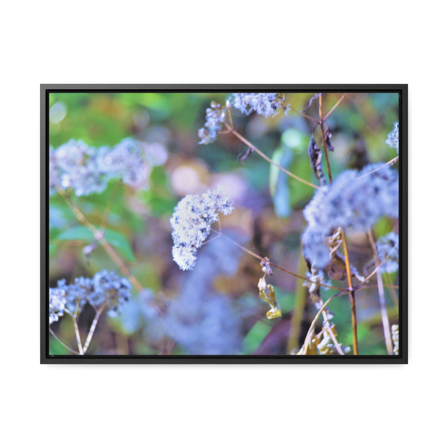 Macro Blue Gallery Canvas Wraps, Horizontal Frame