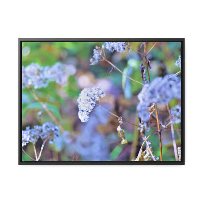 Macro Blue Gallery Canvas Wraps, Horizontal Frame 24″ x 18″ Black Premium Gallery Wraps (1.25″)