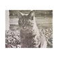 Caledonia Satin Canvas Stretched 30" x 24" (Horizontal) 1.5"