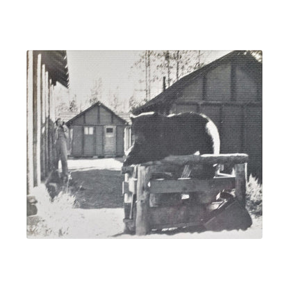 Yellowstone Bear Satin Canvas Stretched 10″ x 8″ (Horizontal) 1.5"