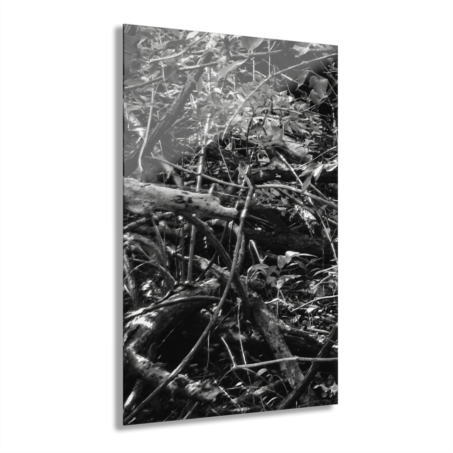 Black & White Deep Timber Path Acrylic Print French Cleat Hanging - 20″ x 30″ (Vertical) 0.25'' - Home Decor
