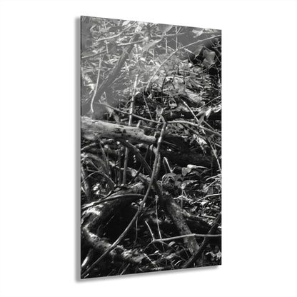 Black & White Deep Timber Path Acrylic Print French Cleat Hanging - 20″ x 30″ (Vertical) 0.25'' - Home Decor