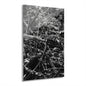 Black & White Deep Timber Path Acrylic Print French Cleat Hanging - 20″ x 30″ (Vertical) 0.25'' - Home Decor
