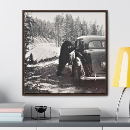 Yellowstone Bear Car Gallery Canvas Wraps Square Frame 30″ x 30″ Premium Gallery Wraps (1.25″) Walnut