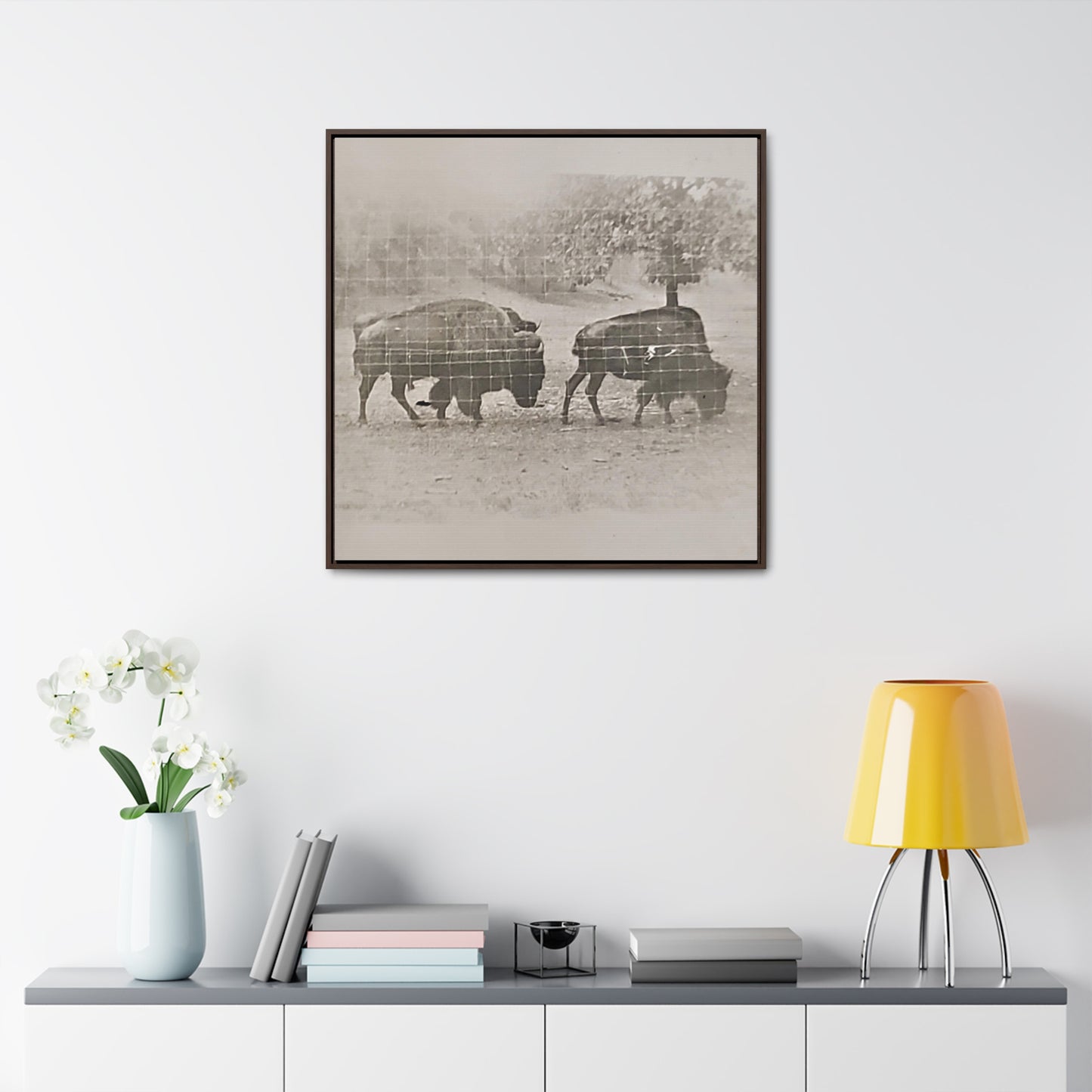 Buffalo at Redwood Falls Gallery Canvas Wraps, Square Frame