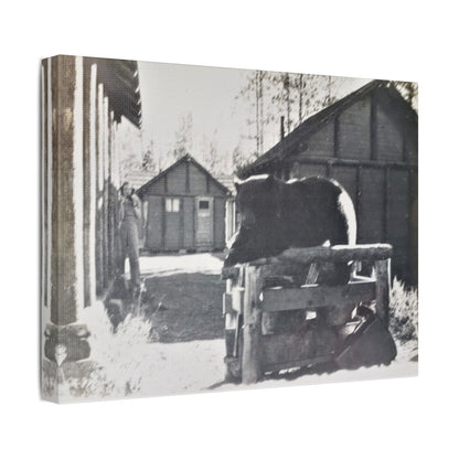 Yellowstone Bear Satin Canvas Stretched