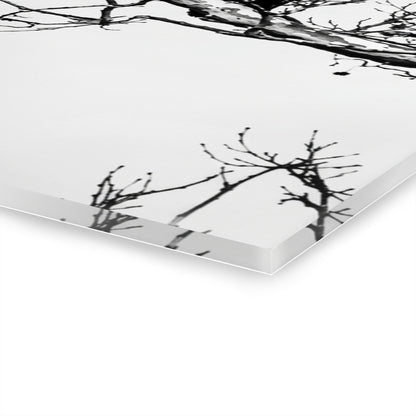 Black & White Buzzards Silhouette Acrylic Print — Modern Minimalist Wall Art - - Home Decor