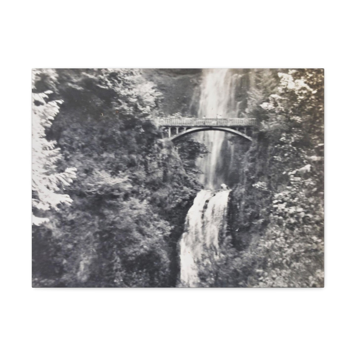 Multnomah Falls Oregon Stretched Canvas