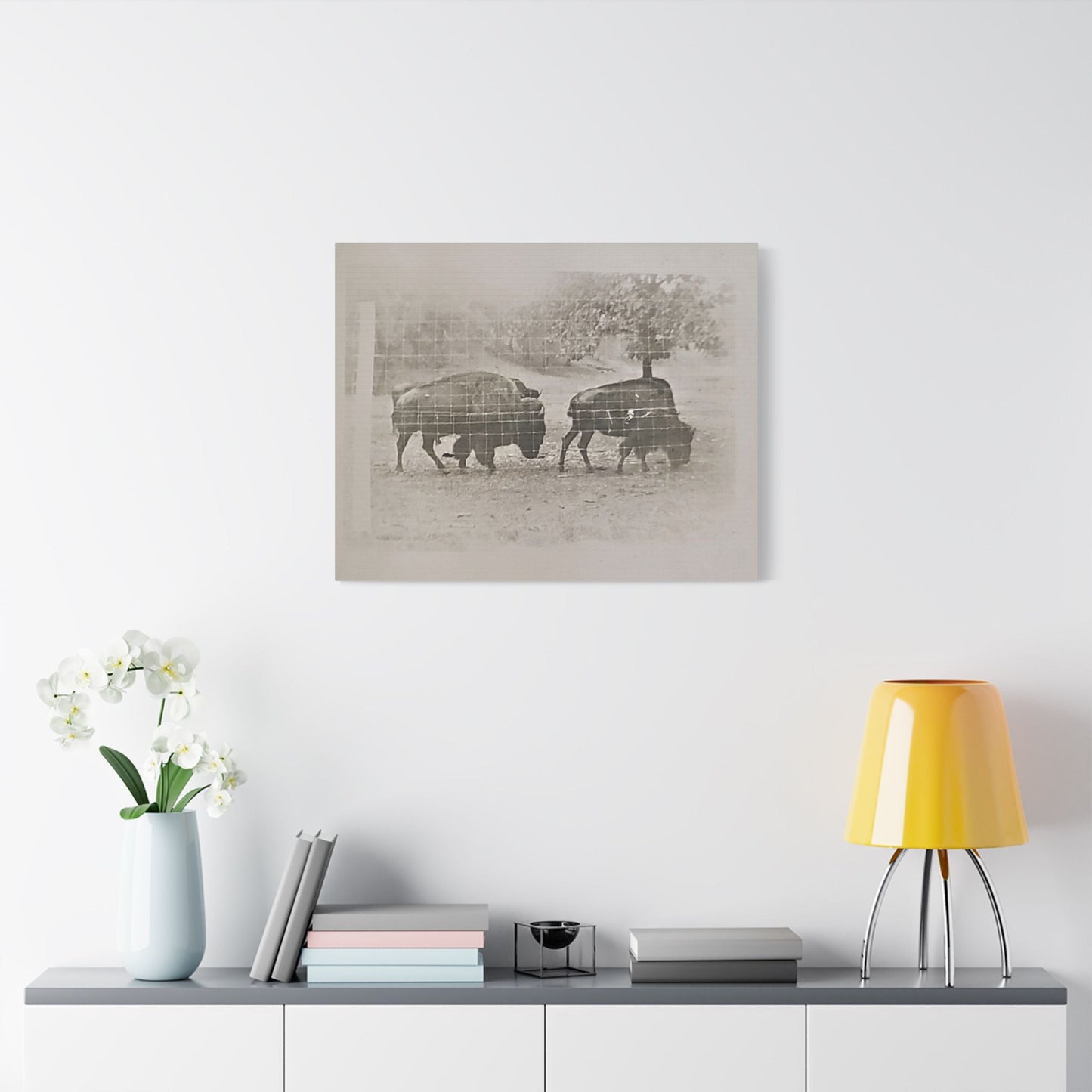 Buffalo at Redwood Falls Satin Canvas Stretched 30" x 24" (Horizontal) 1.5"