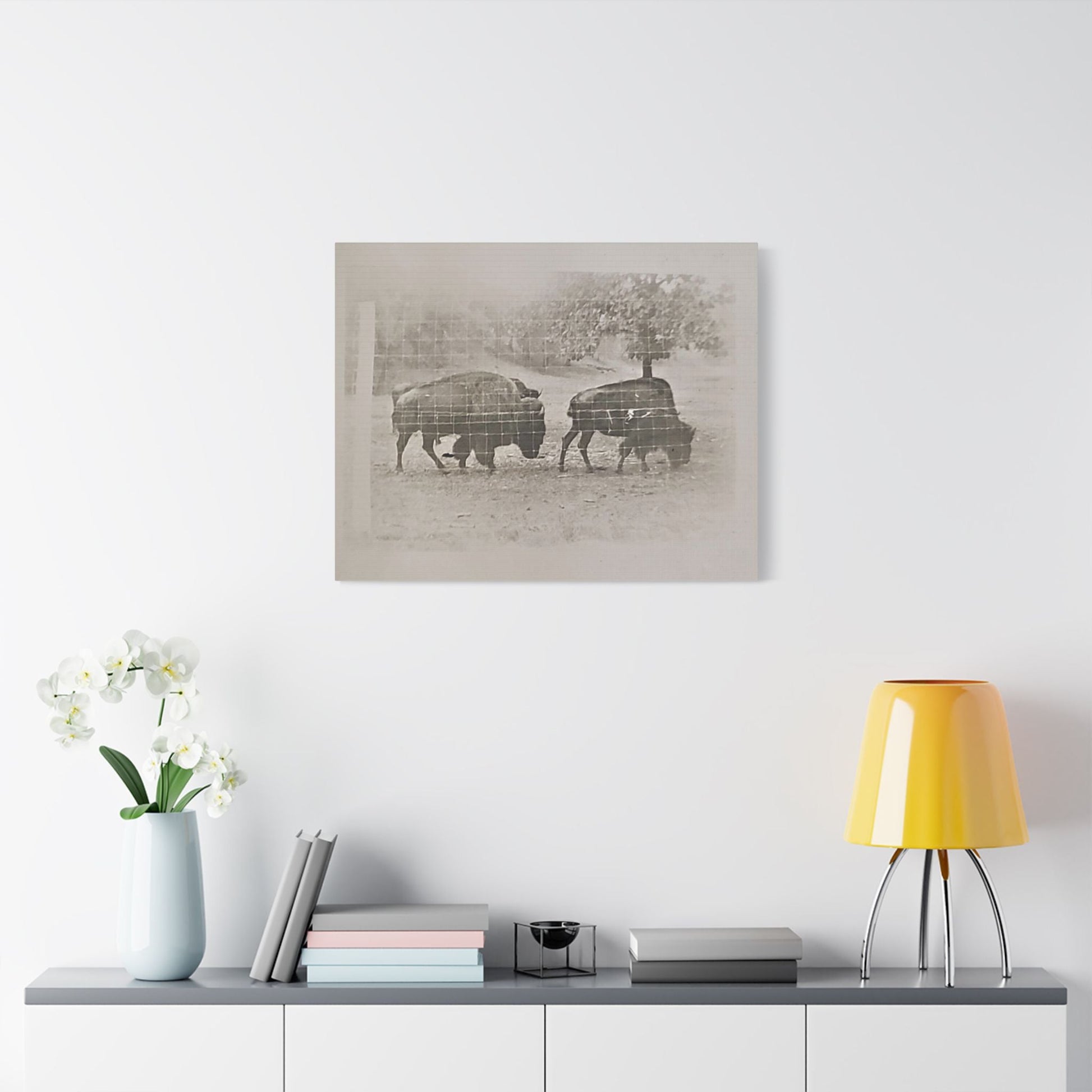 Buffalo at Redwood Falls Satin Canvas Stretched - 30" x 24" (Horizontal) 1.5" - Canvas