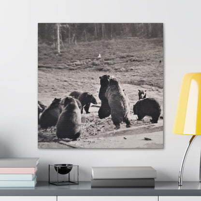 Yellowstone Grizzly Bears Canvas Gallery Wraps 24″ x 24″ 1.25"