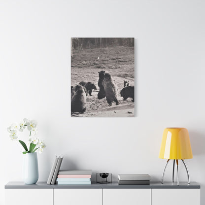 Yellowstone Grizzly Bears Satin Canvas Stretched 24" x 30" (Vertical) 1.5"