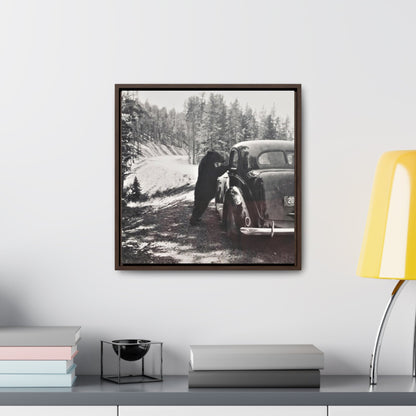 Yellowstone Bear Car Gallery Canvas Wraps Square Frame 16″ x 16″ Premium Gallery Wraps (1.25″) Walnut