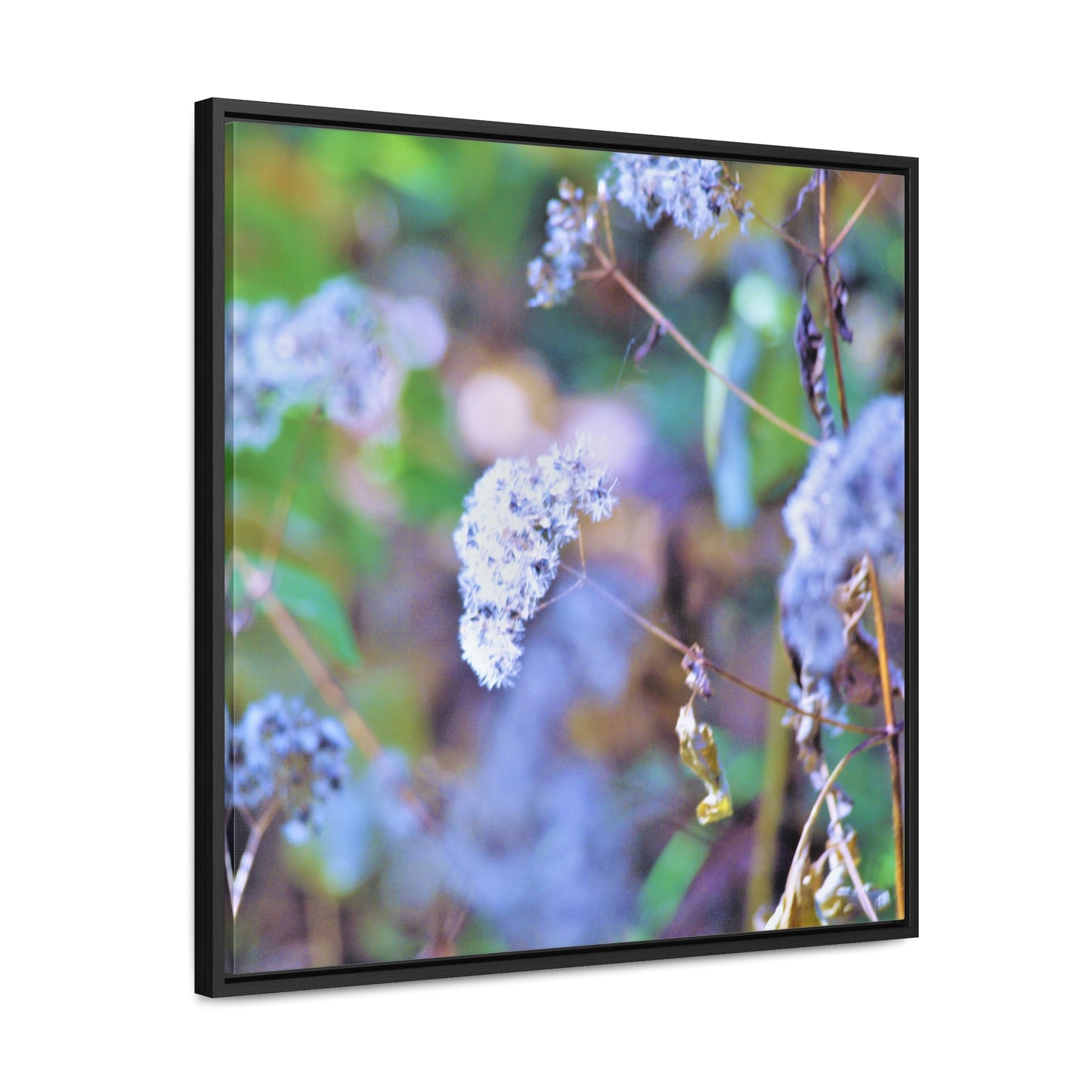 Macro Blue Gallery Canvas Wraps, Square Frame