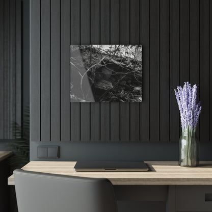 Black & White Forest Acrylic Print French Cleat Hang - 20″ x 16″ (Horizontal) 0.25'' - Home Decor
