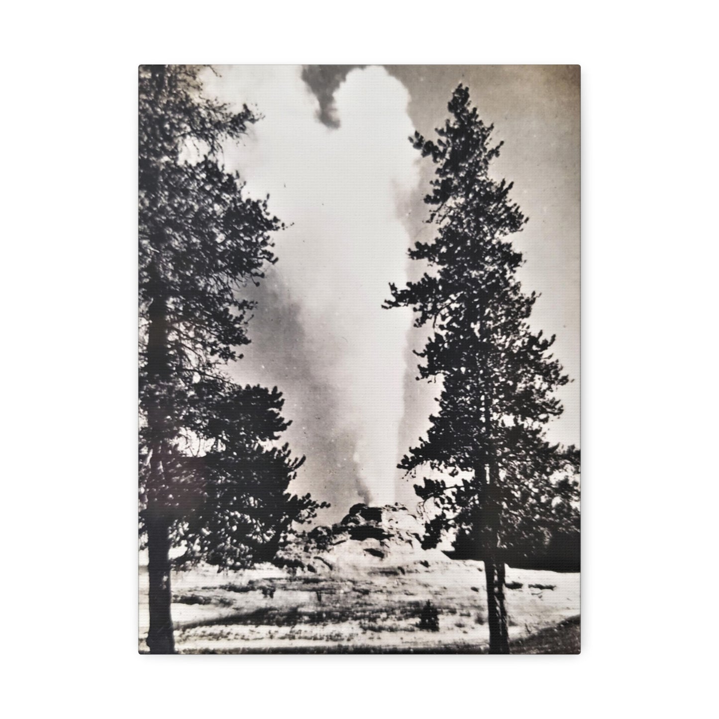 Castle Geyser Yellowstone Stretched Canvas