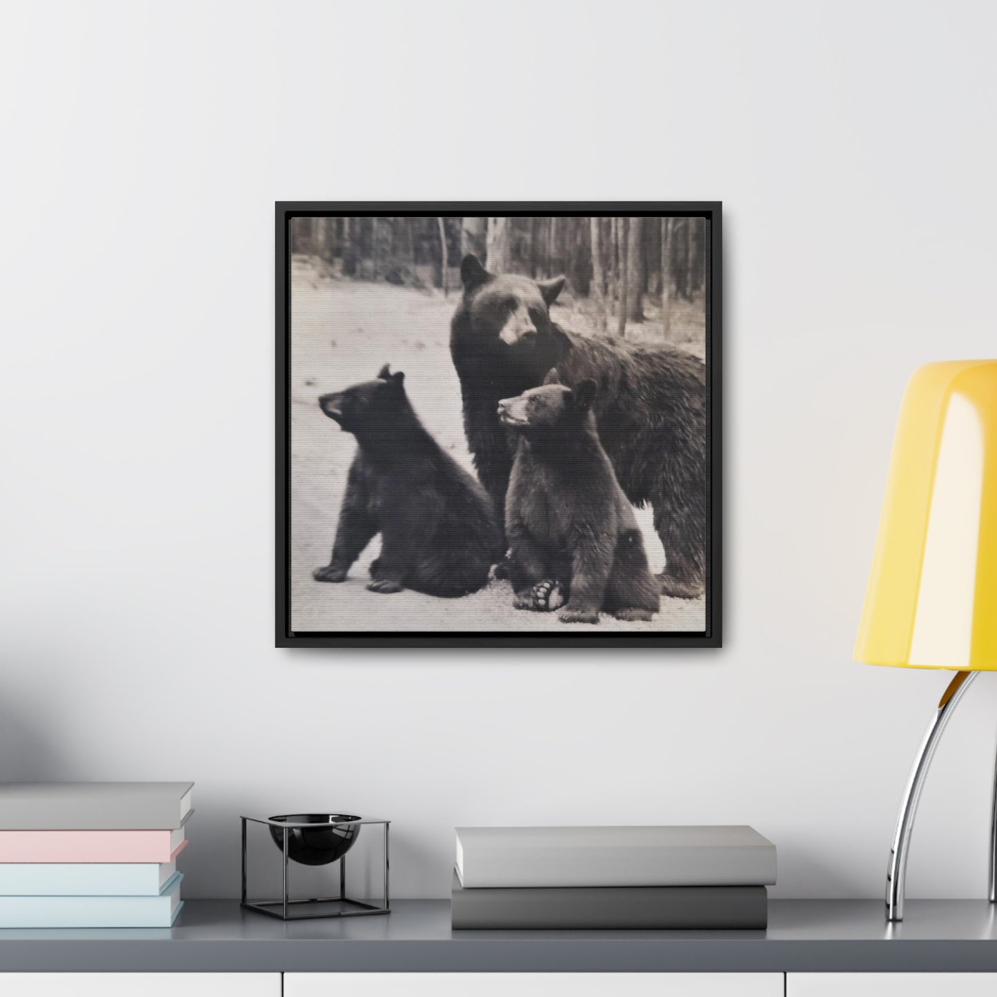 Yellowstone Black Bears Gallery Canvas Wraps, Square Frame