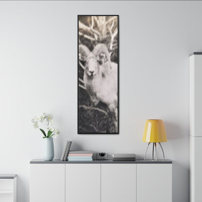 Yellowstone Big Horn Sheep Gallery Canvas Wraps Vertical Frame 20″ x 60″ Premium Gallery Wraps (1.25″) Black