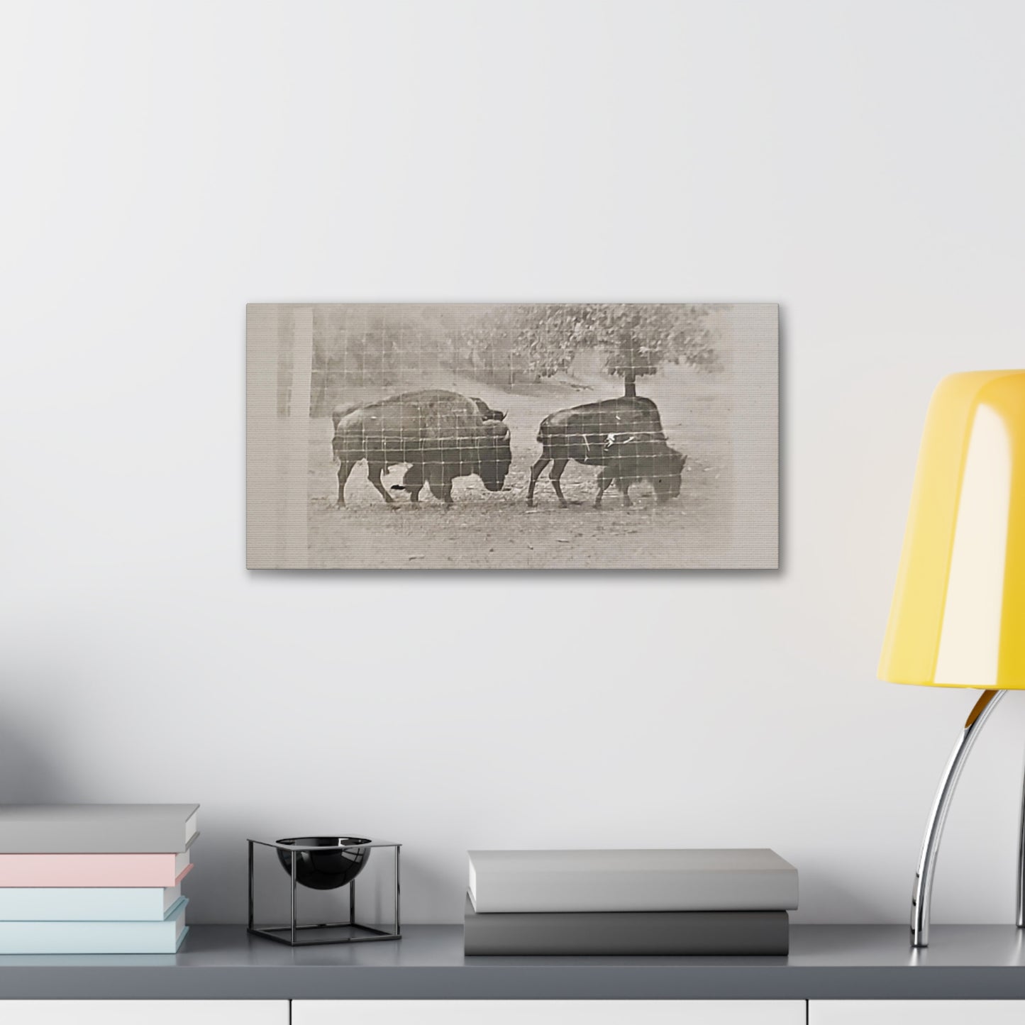 Buffalo at Redwood Falls Canvas Gallery Wraps