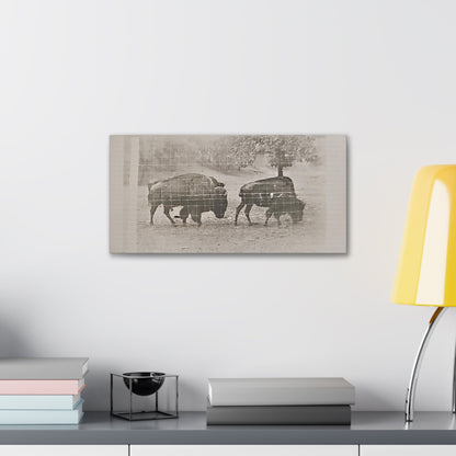 Buffalo at Redwood Falls Canvas Gallery Wraps 20″ x 10″ 1.25"