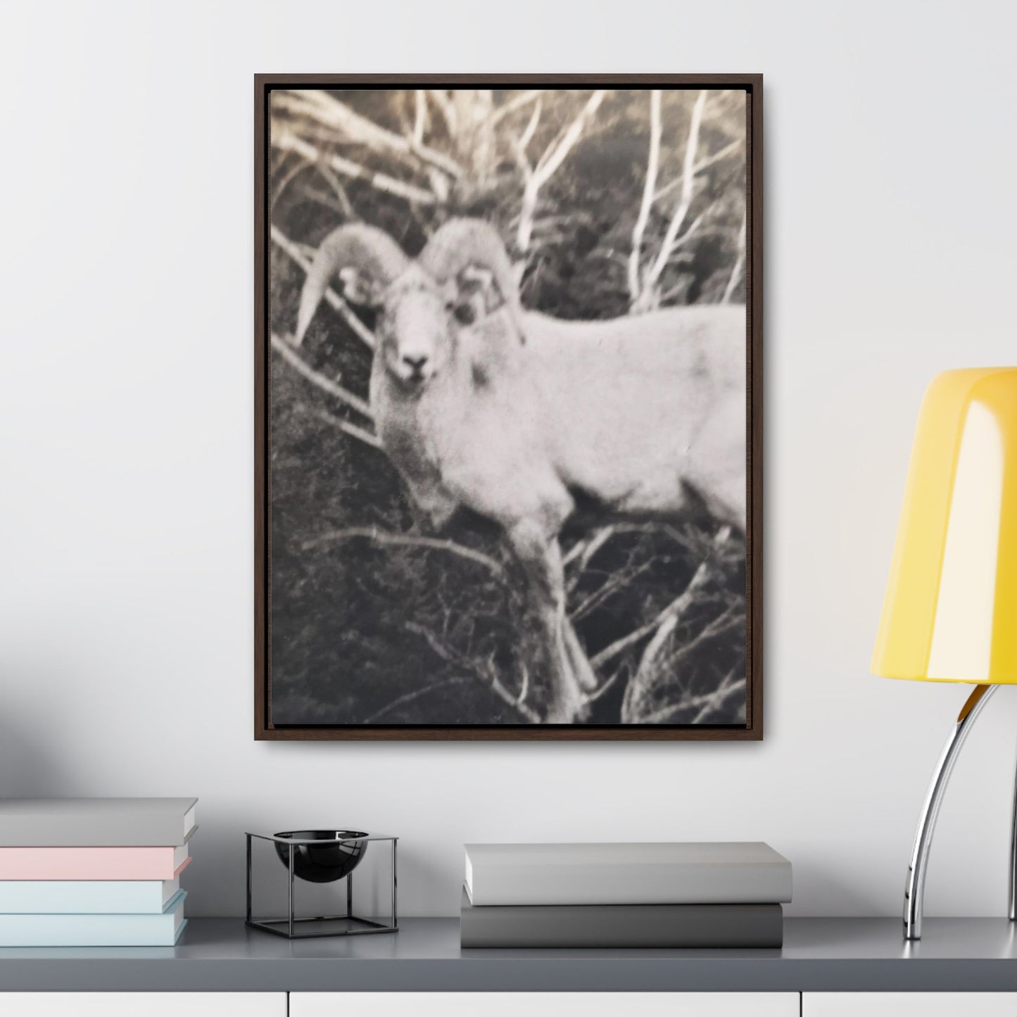 Yellowstone Big Horn Sheep Gallery Canvas Wraps Vertical Frame 18″ x 24″ Premium Gallery Wraps (1.25″) Walnut