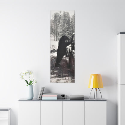 Yellowstone Bear Car Canvas Gallery Wraps 20″ x 60″ 1.25"