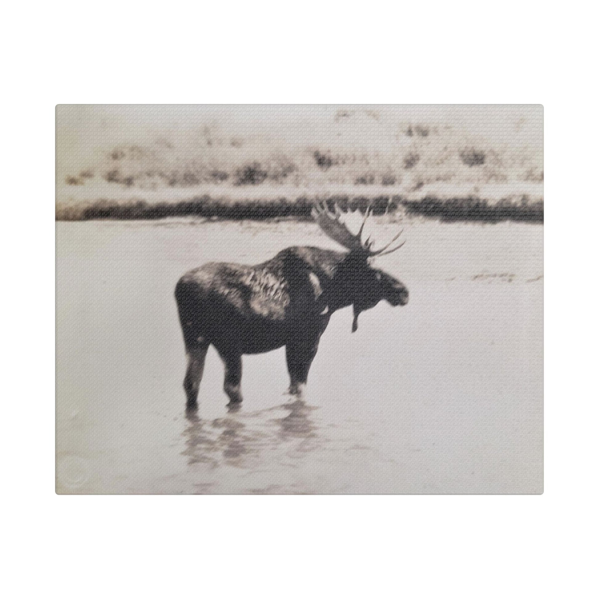 Yellowstone Bull Moose Satin Canvas Stretched