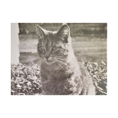Caledonia Satin Canvas Stretched 16″ x 12″ (Horizontal) 1.5"