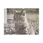 Caledonia Satin Canvas Stretched 16″ x 12″ (Horizontal) 1.5"