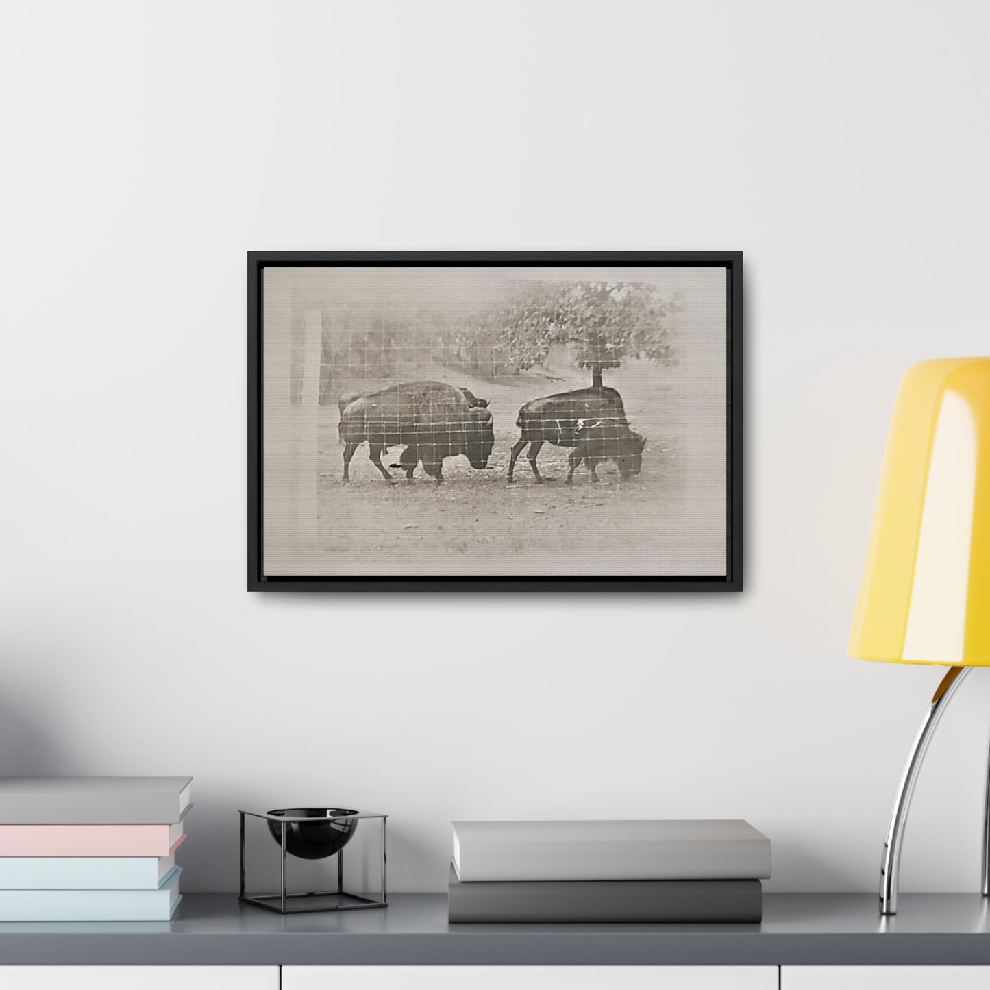 Buffalo at Redwood Falls Gallery Canvas Wraps, Horizontal Frame