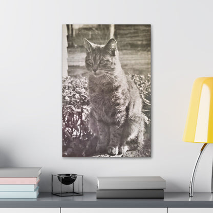 Caledonia Canvas Gallery Wraps 16″ x 24″ 1.25"