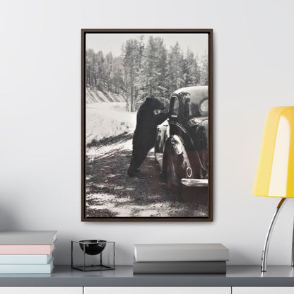 Yellowstone Bear Car Gallery Canvas Wraps Vertical Frame 16″ x 24″ Premium Gallery Wraps (1.25″) Walnut