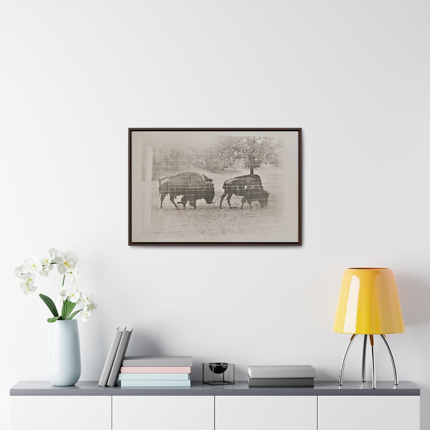 Buffalo at Redwood Falls Gallery Canvas Wraps, Horizontal Frame