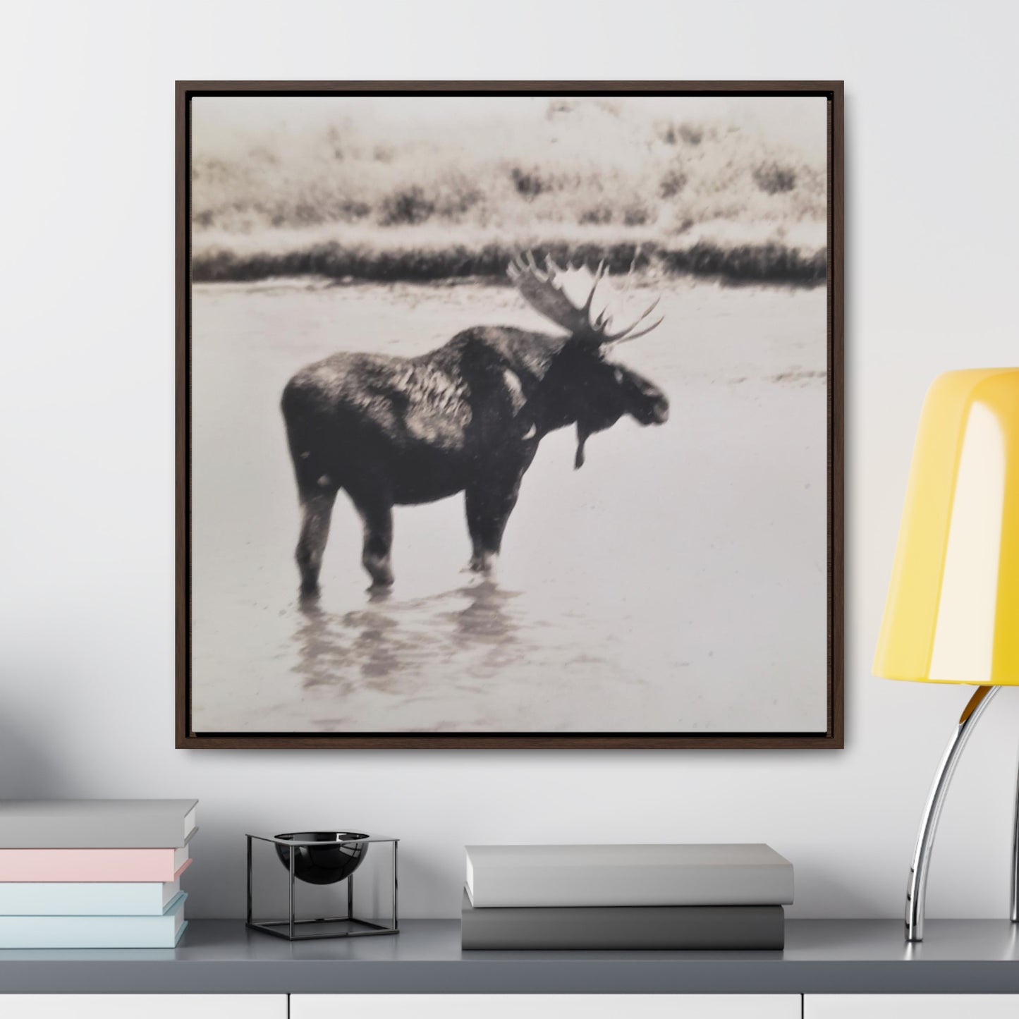 Yellowstone Bull Moose Gallery Canvas Wraps, Square Frame