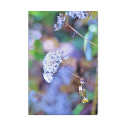 Macro Blue Canvas Gallery Wraps 16″ x 24″ 1.25"