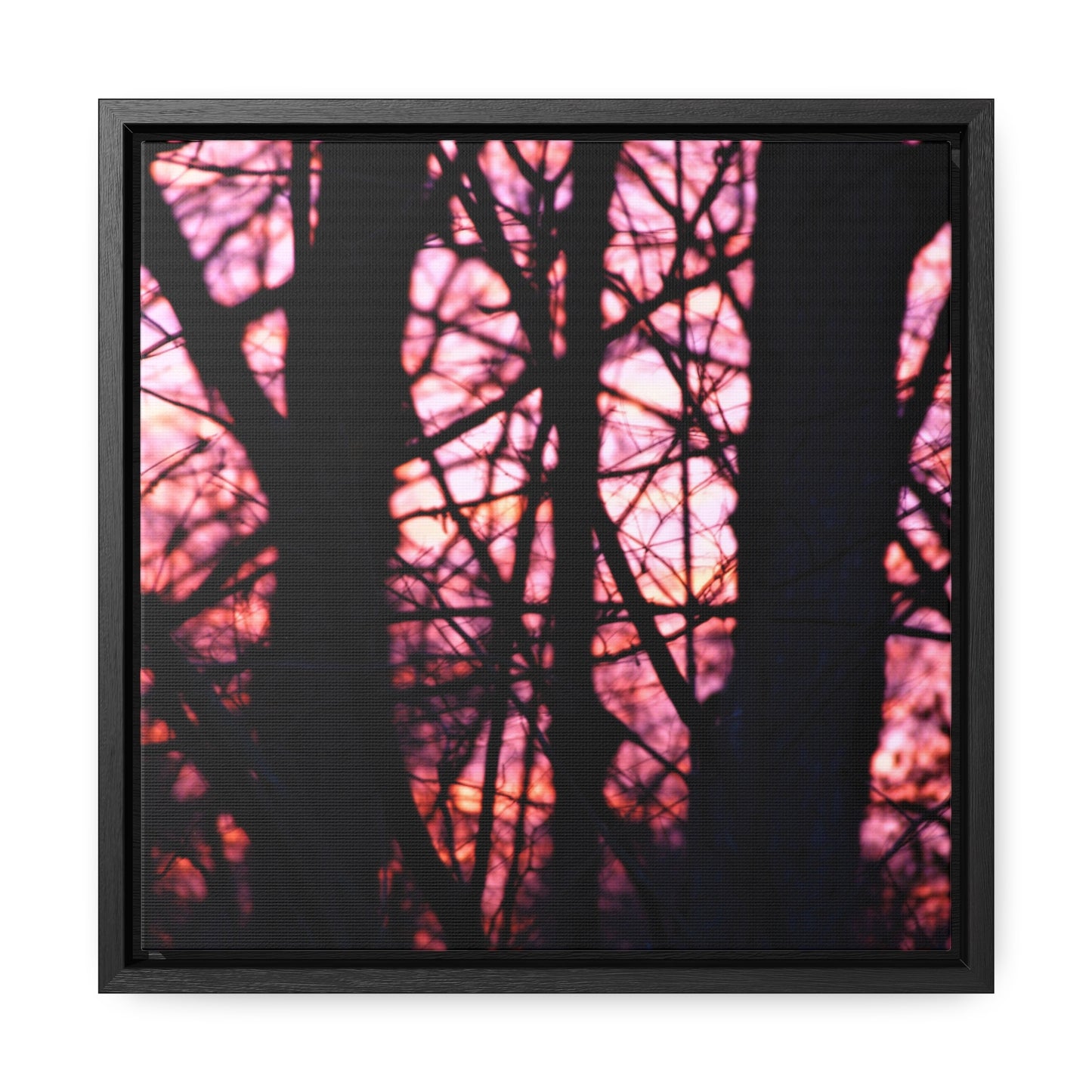 Dawn Gallery Canvas Wraps, Square Frame