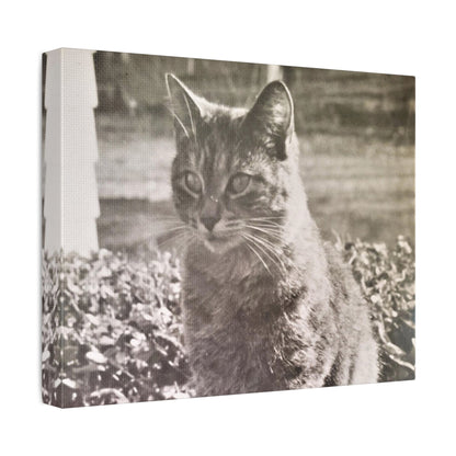 Caledonia Stretched Canvas