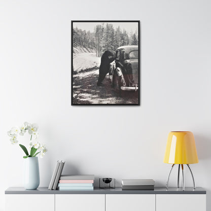 Yellowstone Bear Car Gallery Canvas Wraps Vertical Frame 24″ x 30″ Premium Gallery Wraps (1.25″) Black